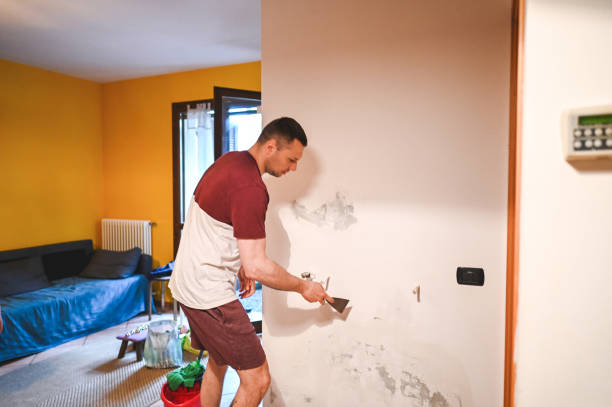 Home Mold Removal in Pine Mountain Clu, CA